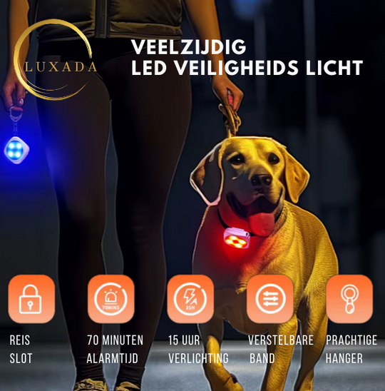 Persoonlijk Veiligheidsalarm